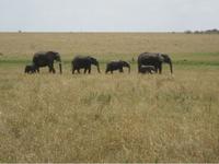 africa